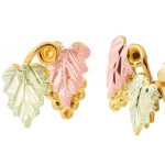 Earrings - by Landstrom's